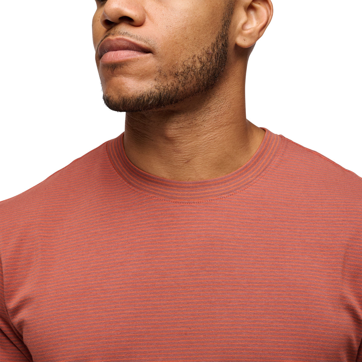 Black Diamond Men's BD Stripe Short Sleeve Tee