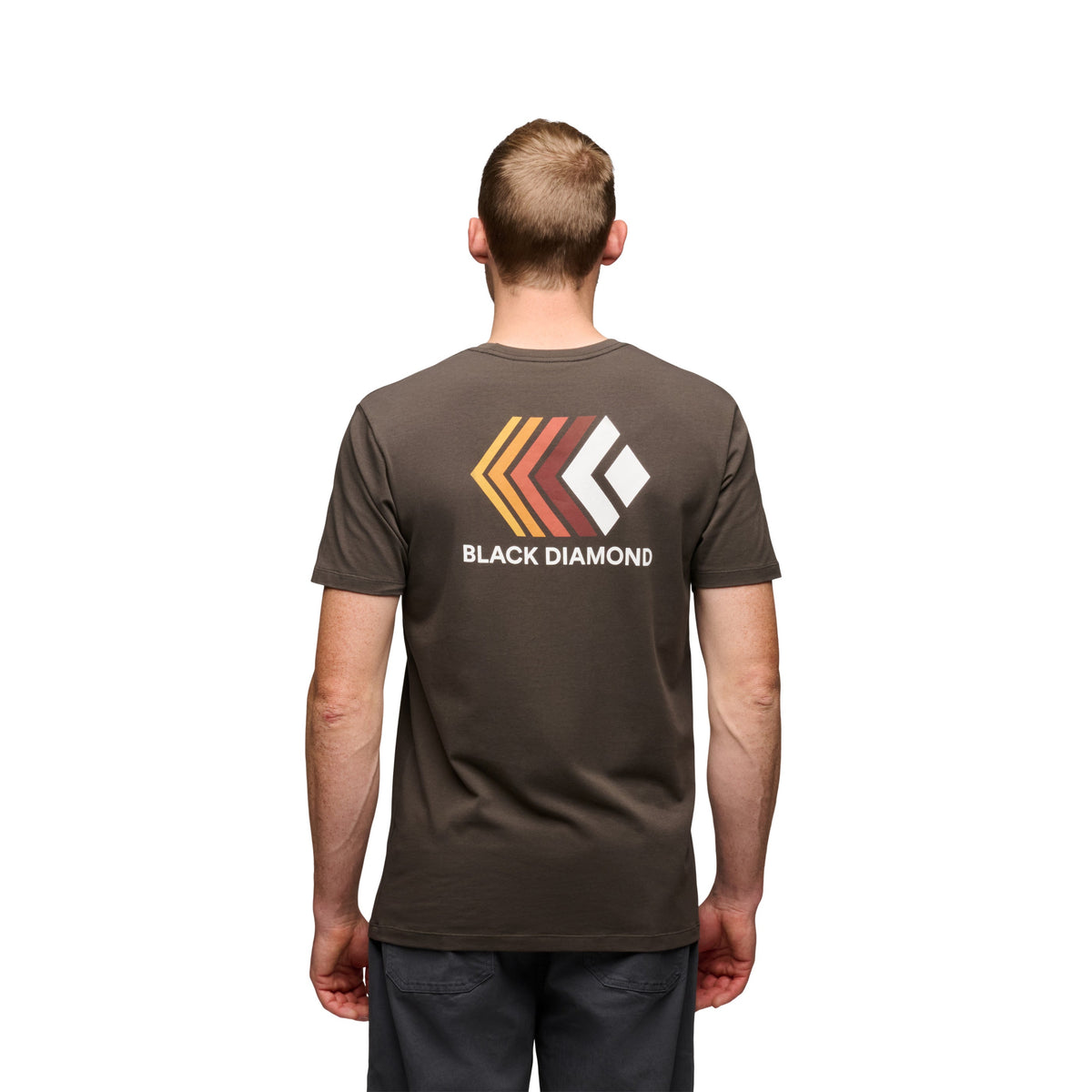 Black Diamond Men's Faded Short Sleeve Tee
