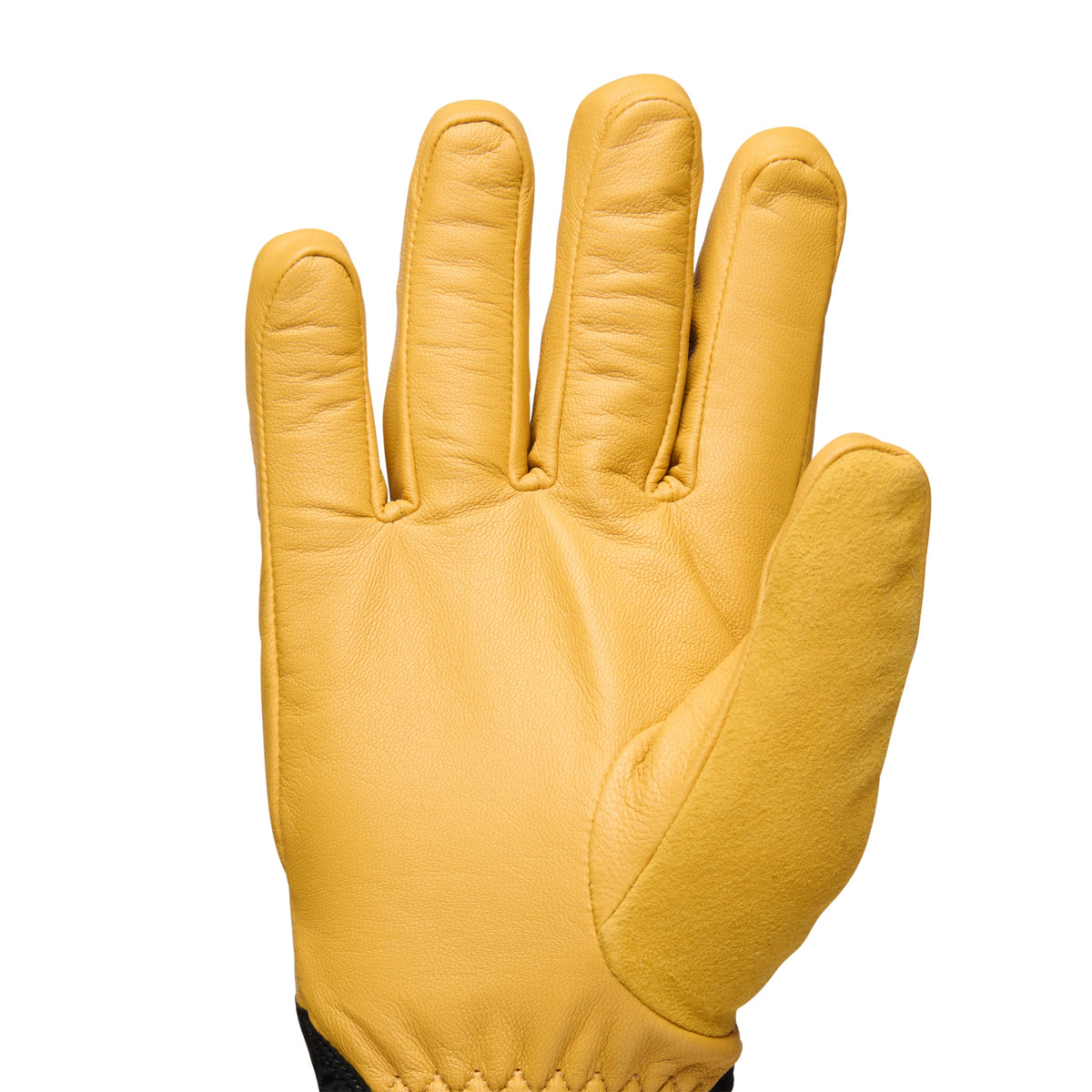 Black Diamond Tour Gloves