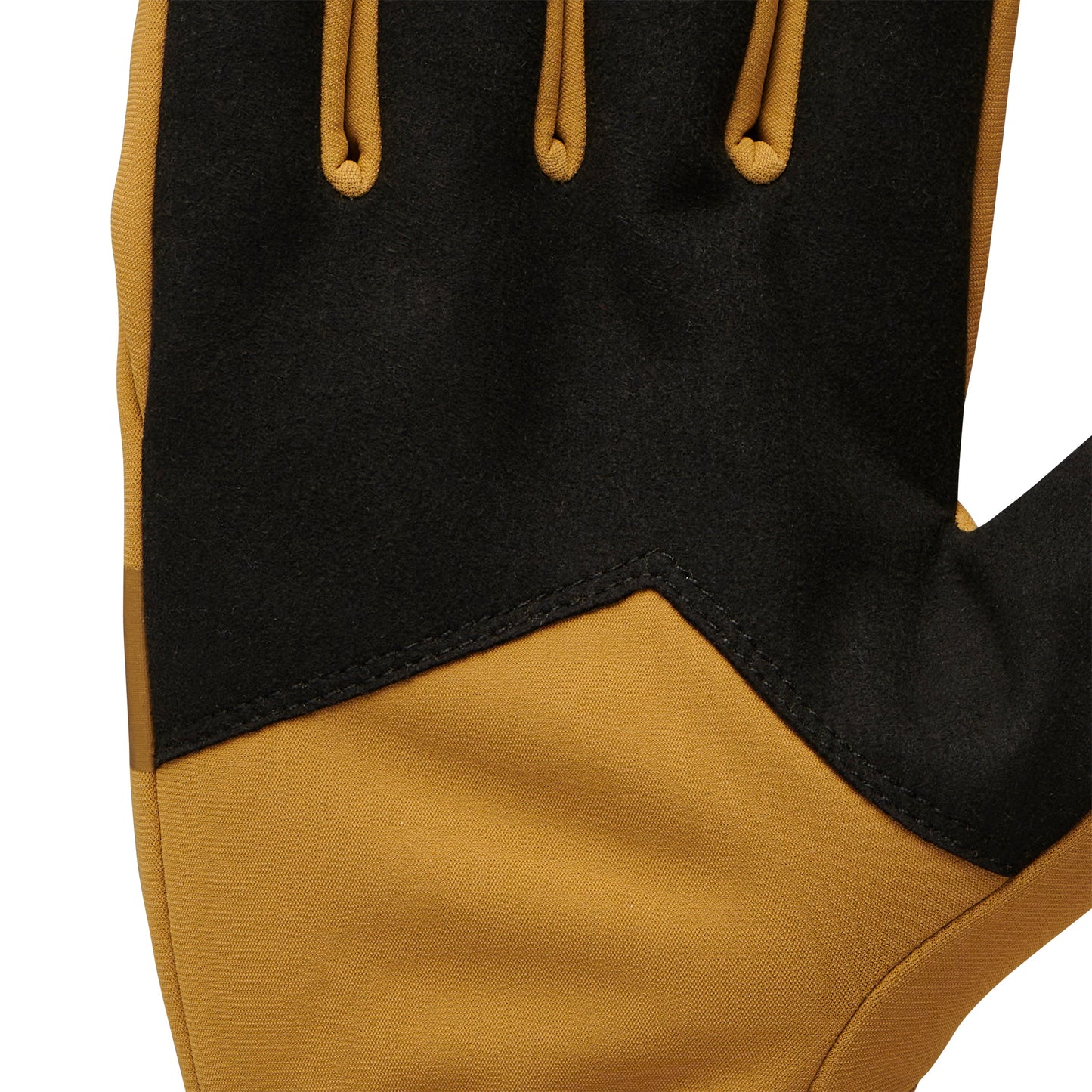 Black Diamond Everyday Softshell Gloves