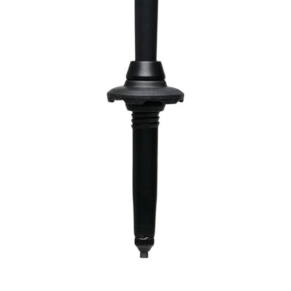 Black Diamond Alpine Carbon Cork Trekking Poles