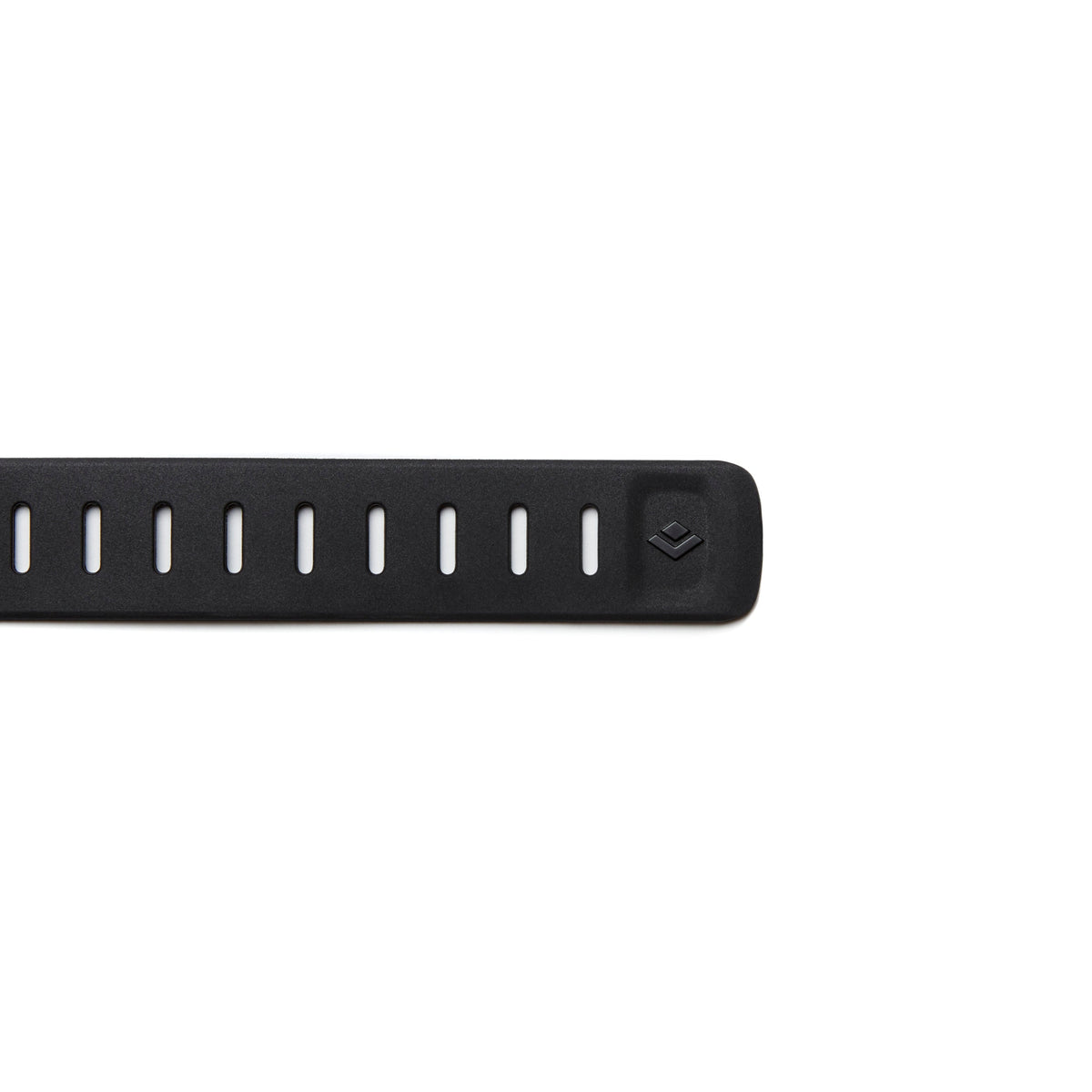 Black Diamond Ski Strap 25 in