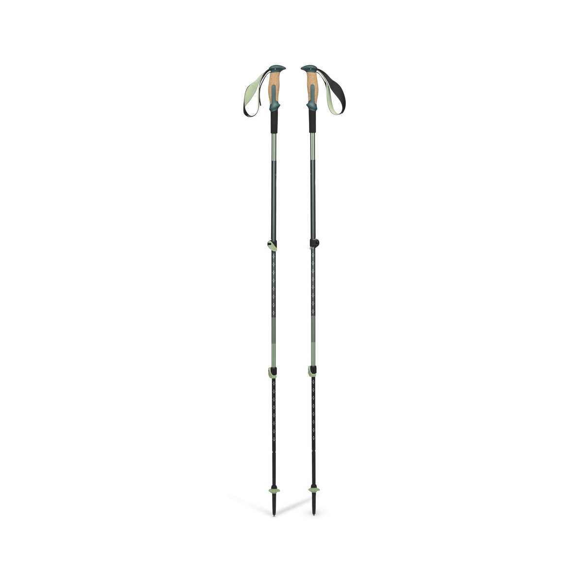Black Diamond Trail Vista Shock Trekking Poles