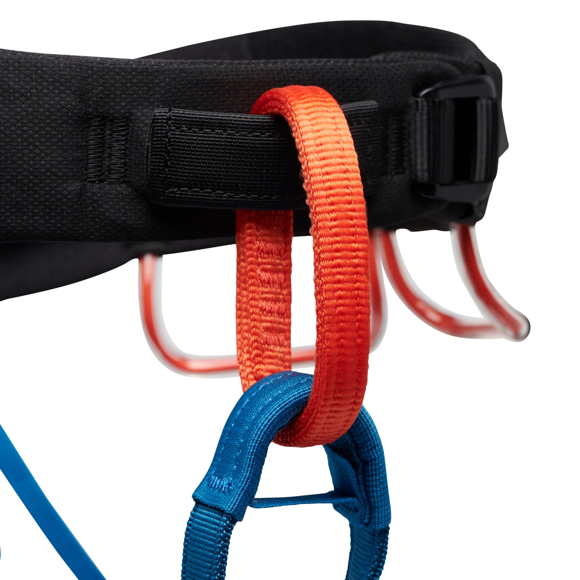 Black Diamond Men's Momentum Harness